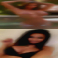 Bulls looking married women